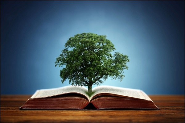 environmental-studies