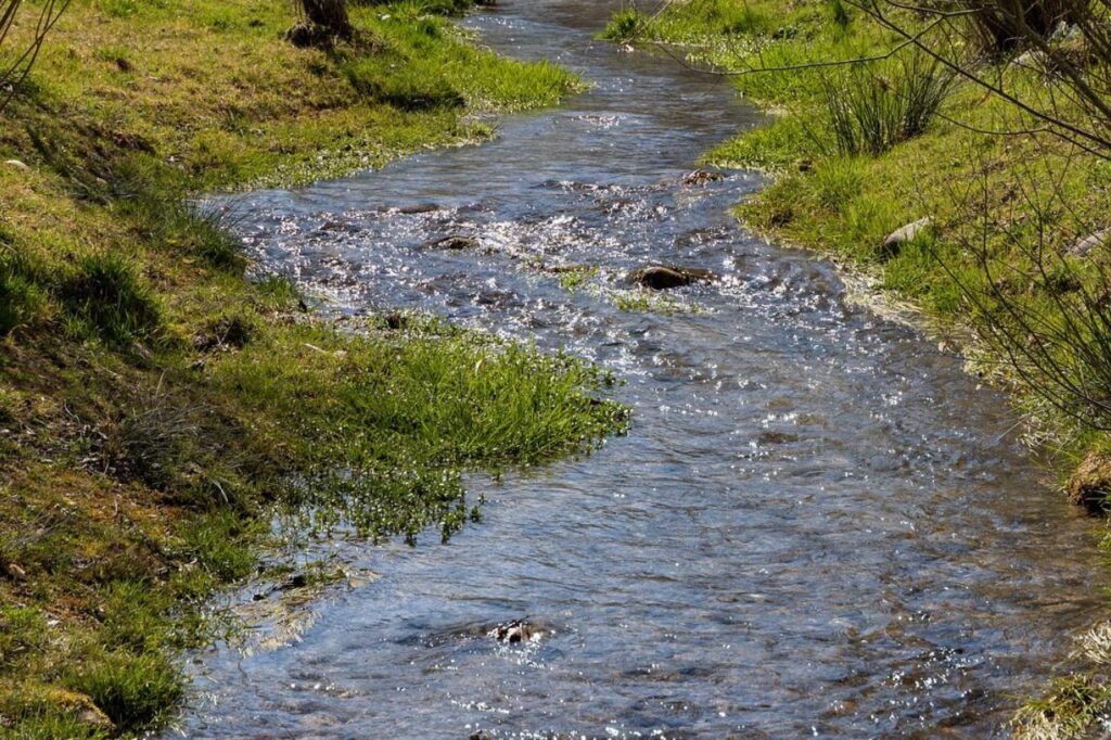 River Basin Management