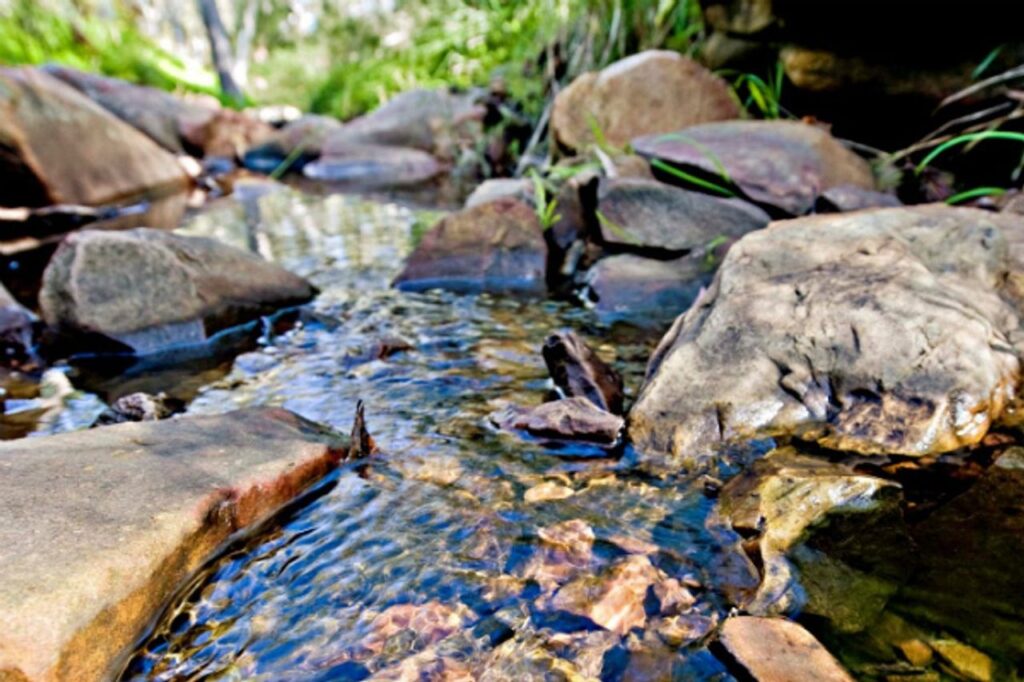 water allocation planning