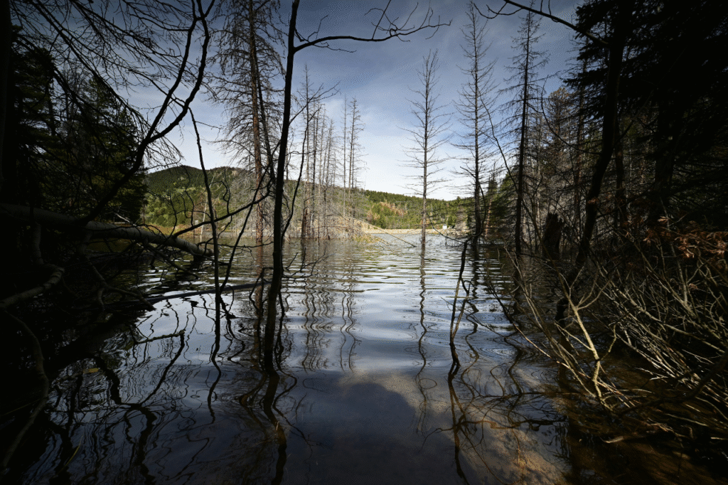 climate change impact