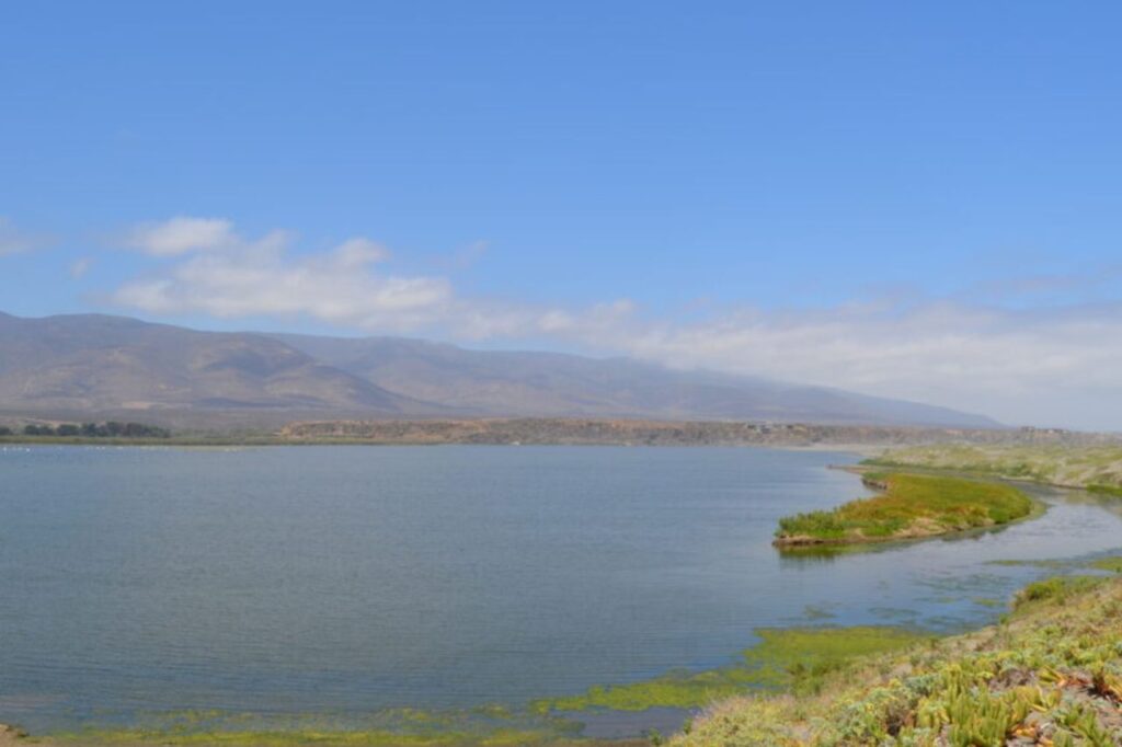 water resources modelling